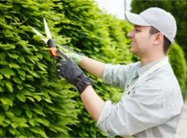 关于 Garden Hub - 球探比分