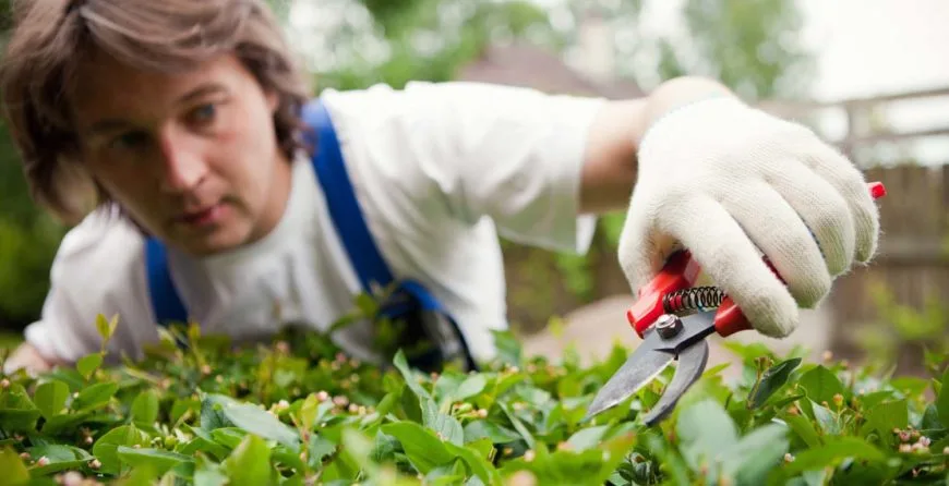 Landscaping: The Best Idea You’ve Ever Had - 球探比分
