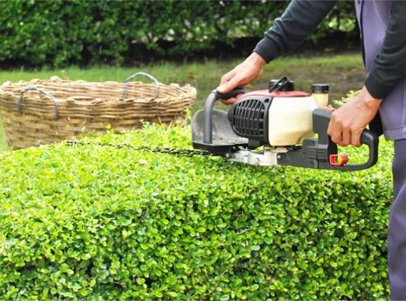 Lawn Mower - 球探比分