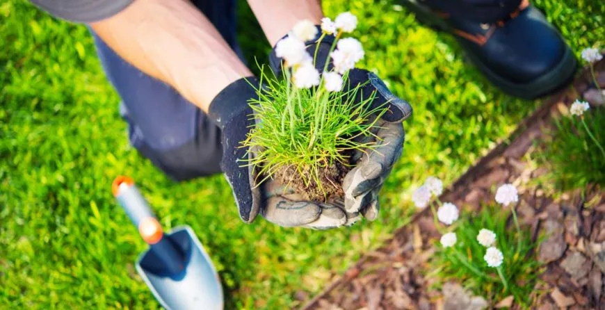 Landscaping: The Best Idea You’ve Ever Had - 球探比分